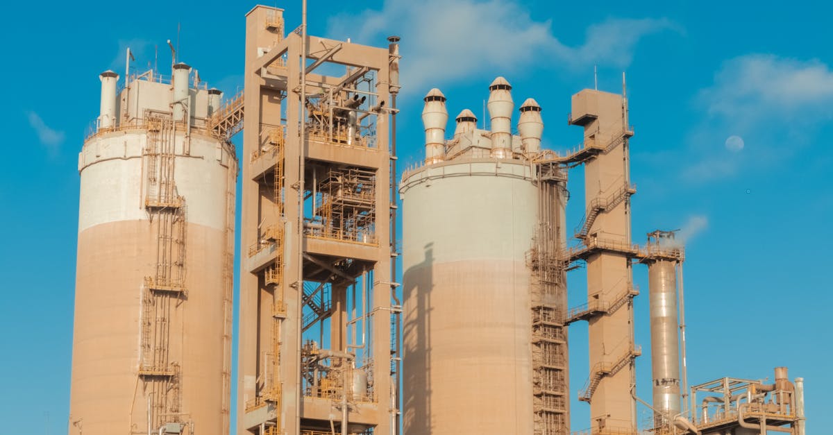 Biomass Boiler Fuel Options: What You Need to Know