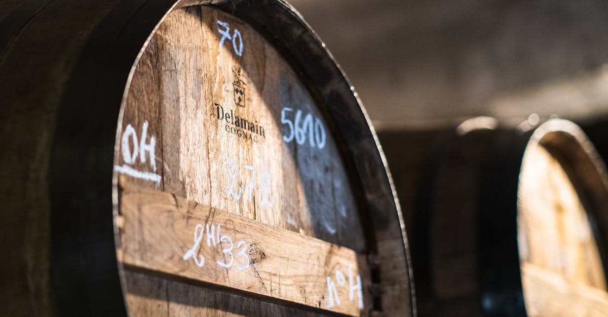 Biomass Boiler Regulations and Compliance Guidelines