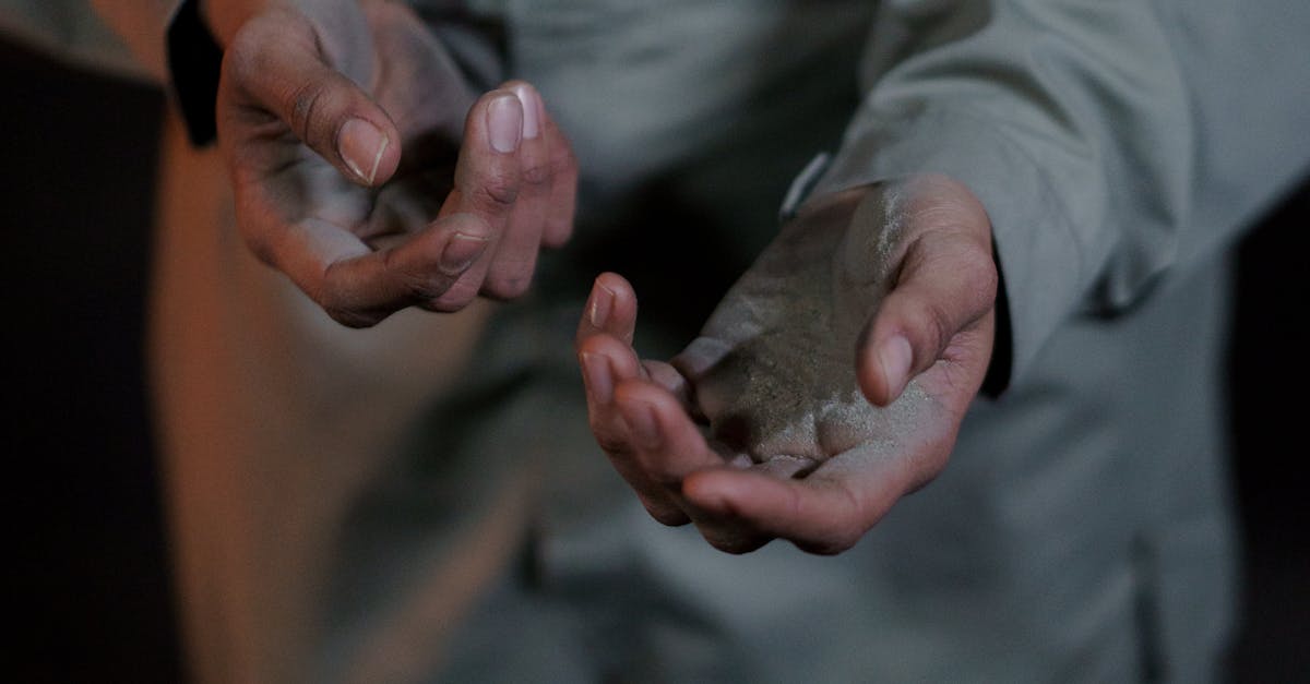 Biomass Boilers: Comparing Different Models and Brands