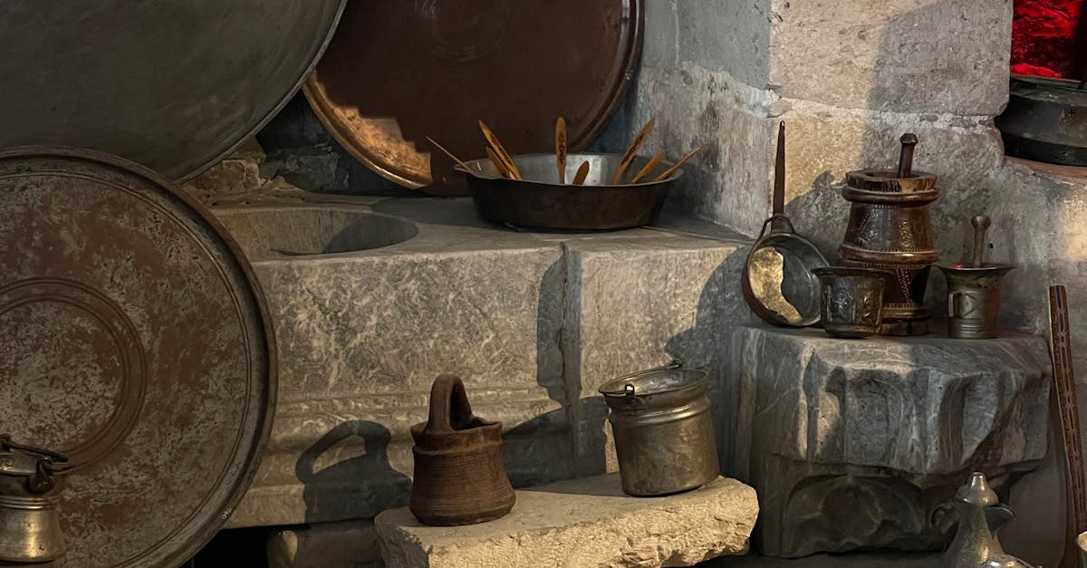 Exploring the Efficiency of Biomass Boilers