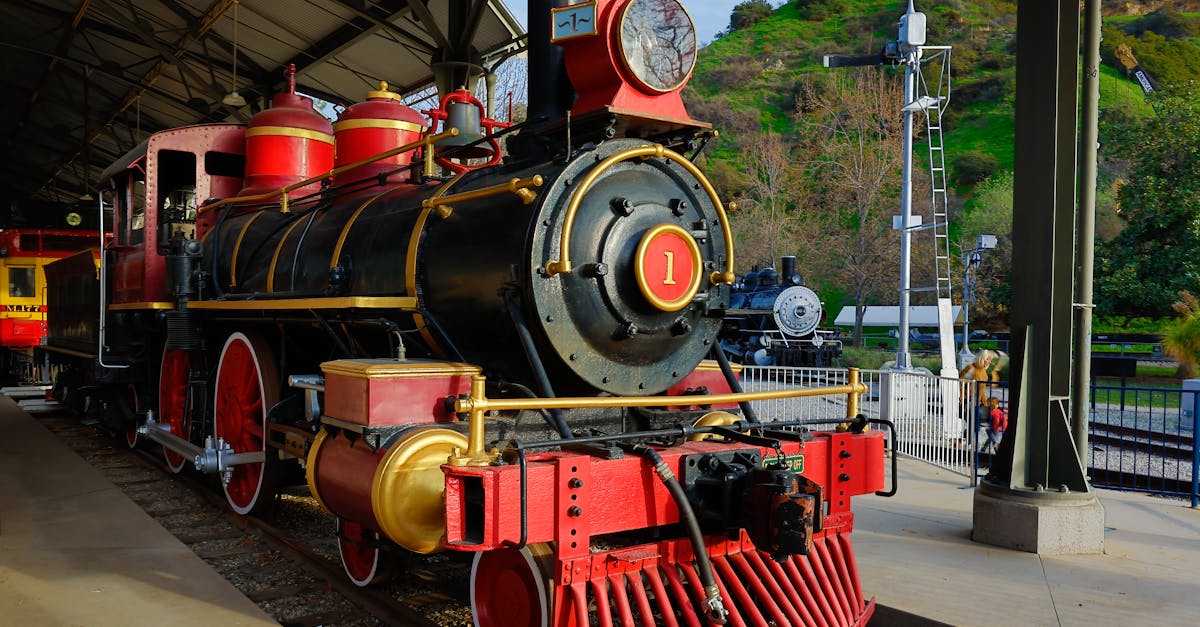 Impact of Boiler Replacement on Local Ecosystem