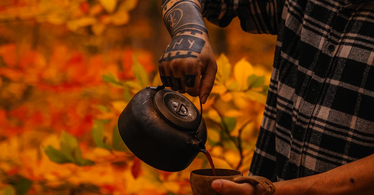 The Environmental Impact of Biomass Boilers